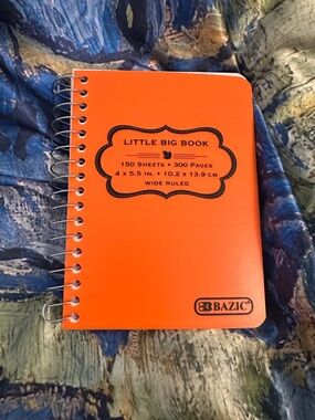 Little Big Book Wide Ruled Spiral Notebook - Orange
